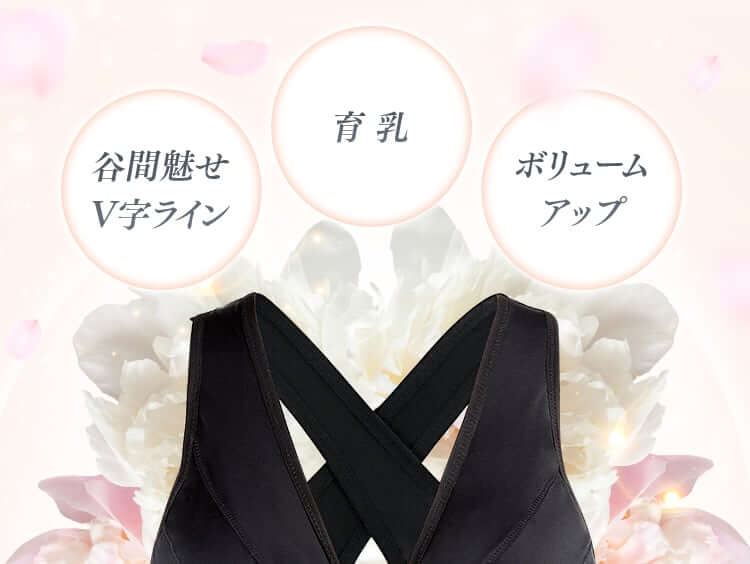 授乳ブラ2セット(宮崎麗華さんプロデュースのRe by Reinest
